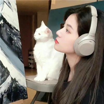 凯西回家